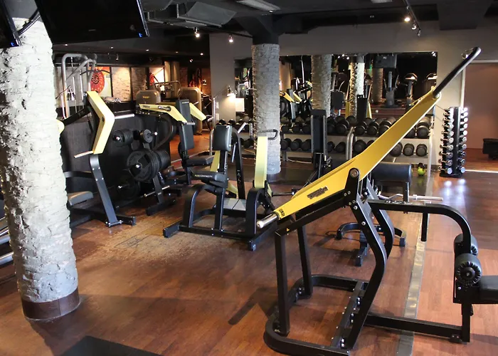 Original Sokos Vaakuna Björneborg